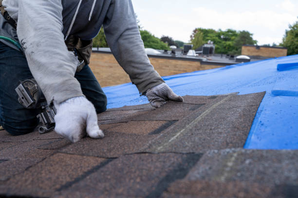 Best Roof Maintenance Services  in County Center, VA